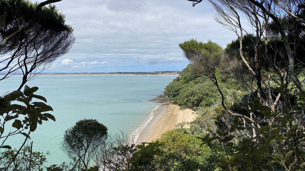 Photo of Others in Karkari Peninsula