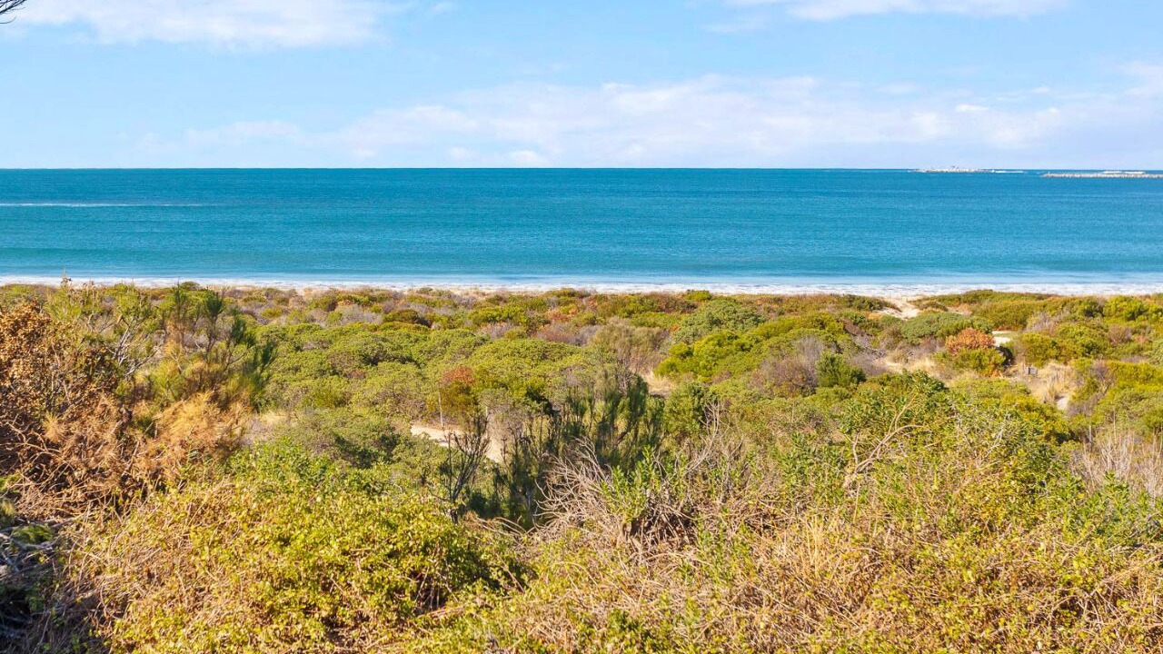 Photo of Others in McCracken