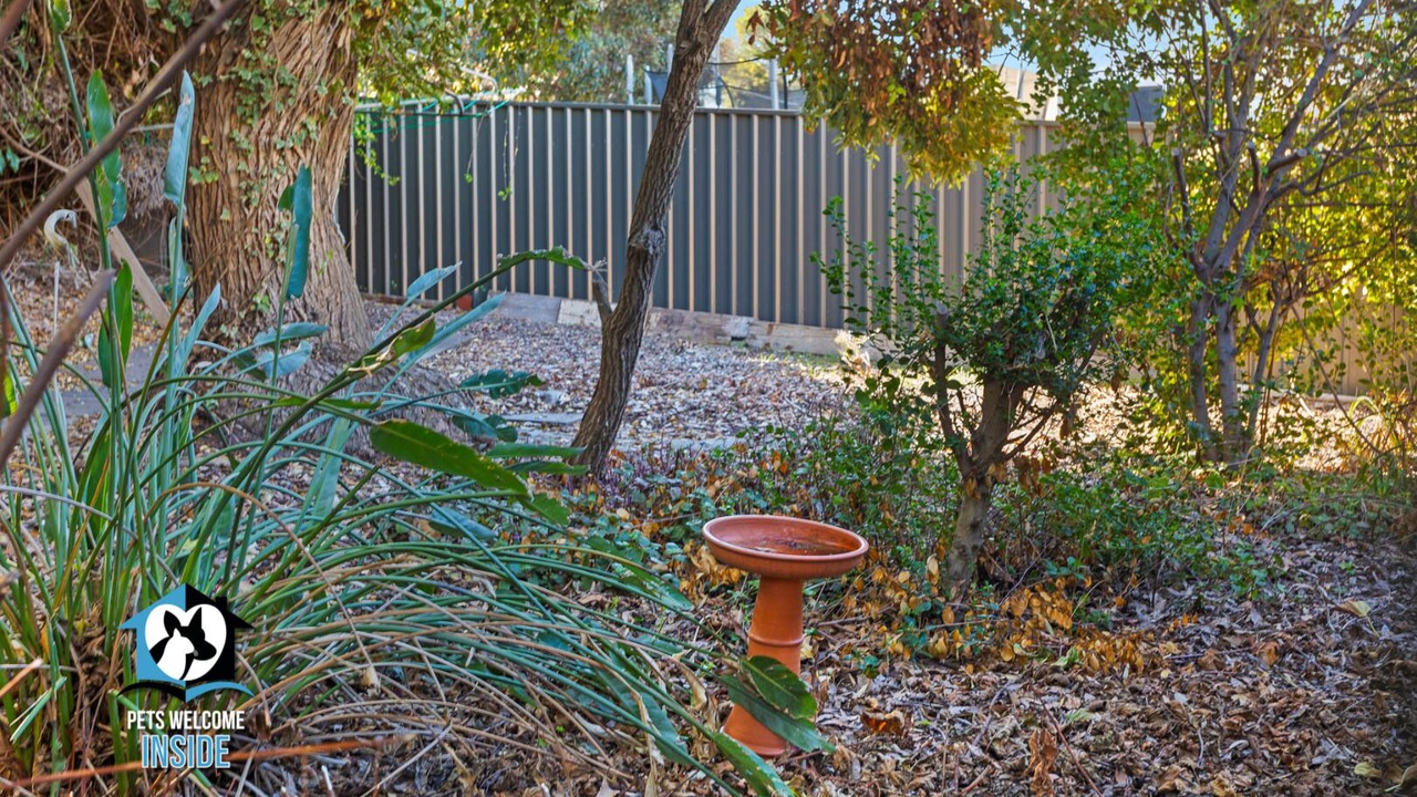 Photo of Outdoor in McCracken