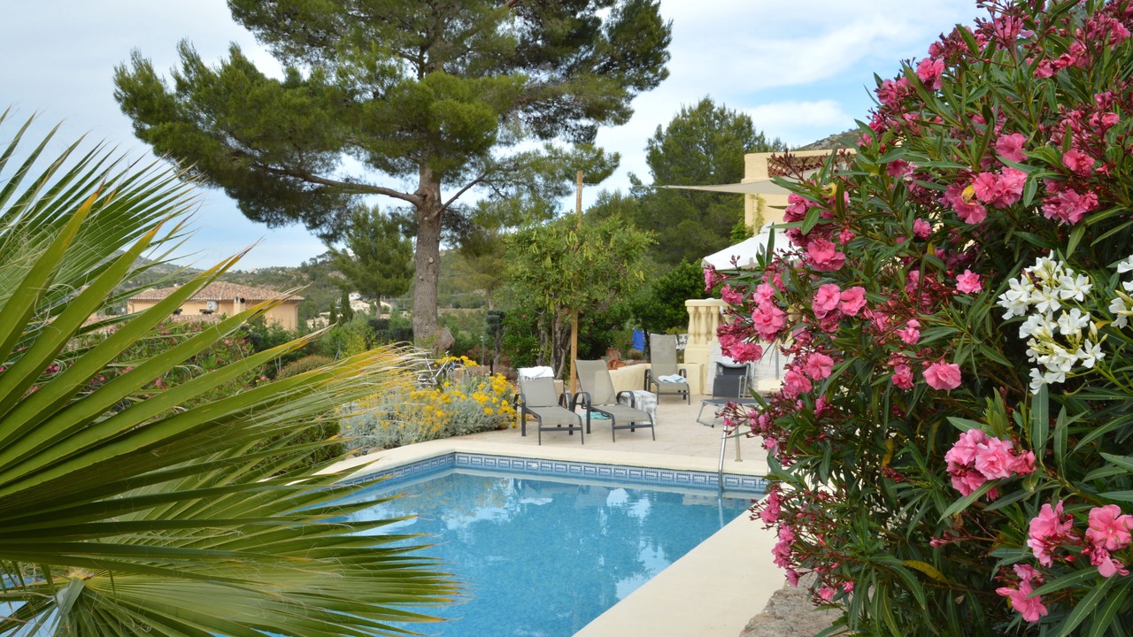 Photo of Outdoor in Lliber