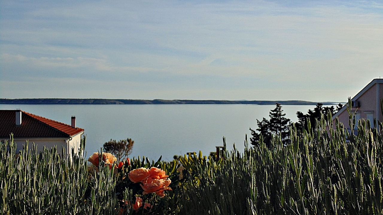 Photo of Outdoor in Rtina