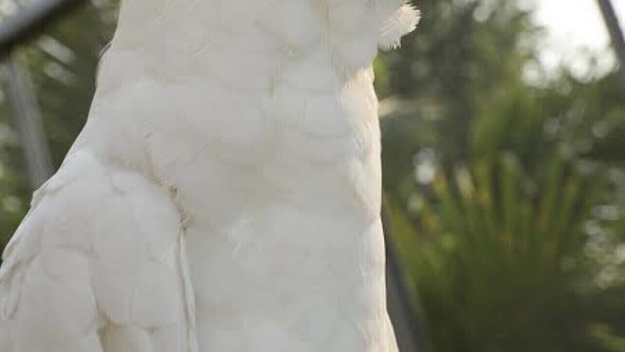 Photo of Others in Sunshine