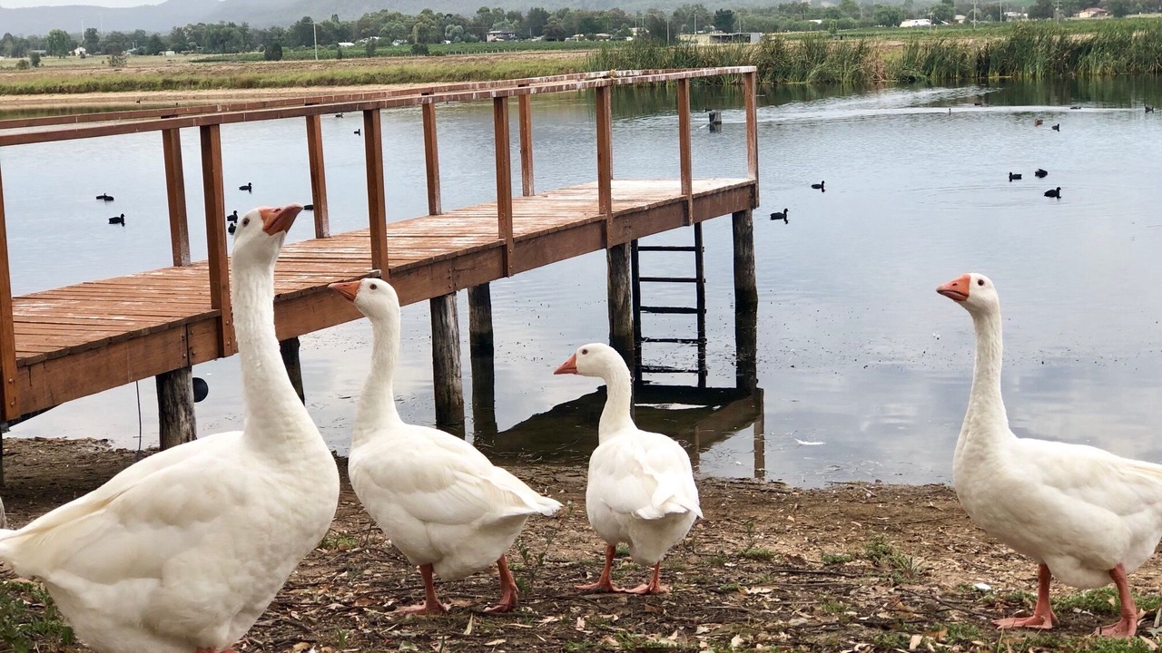 Photo of Others in Broke