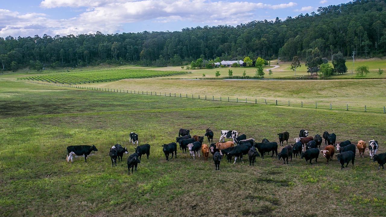 Photo of Others in Broke