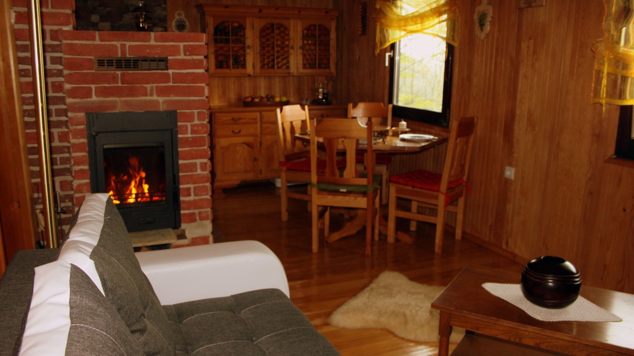 Photo of Livingroom in Brestova Draga