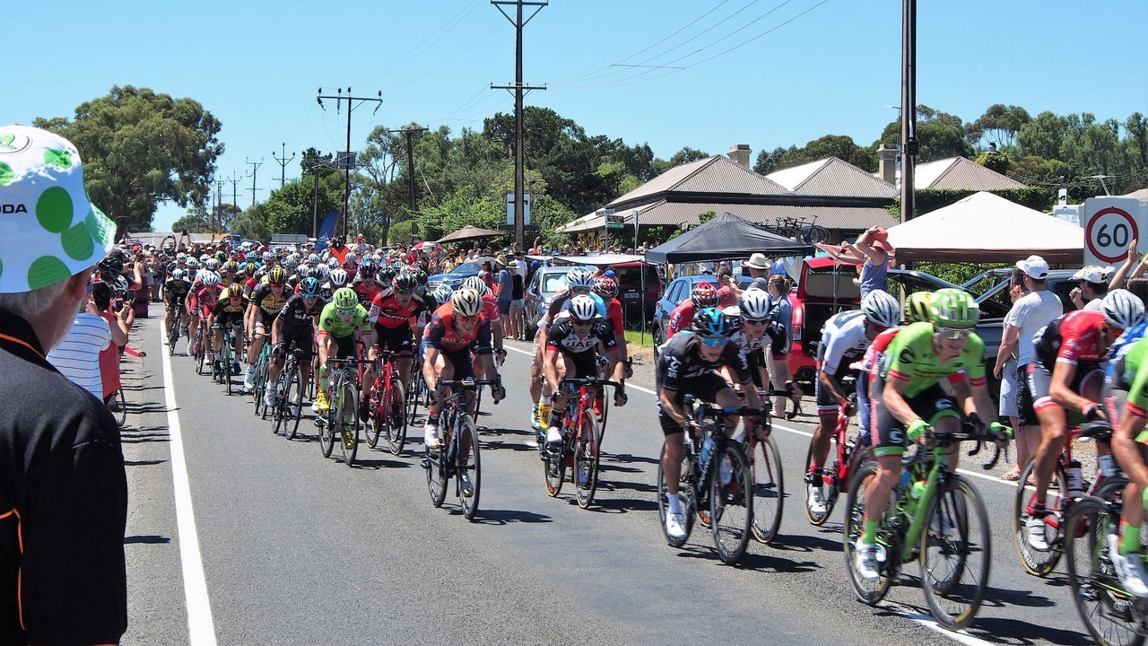 Photo of Others in McLaren Flat