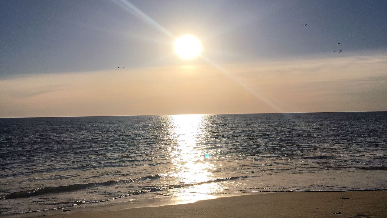 Photo of Others in McLaren Flat