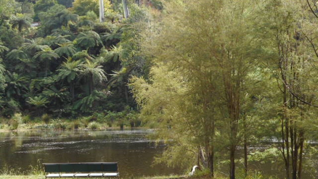 Photo of Others in Warburton