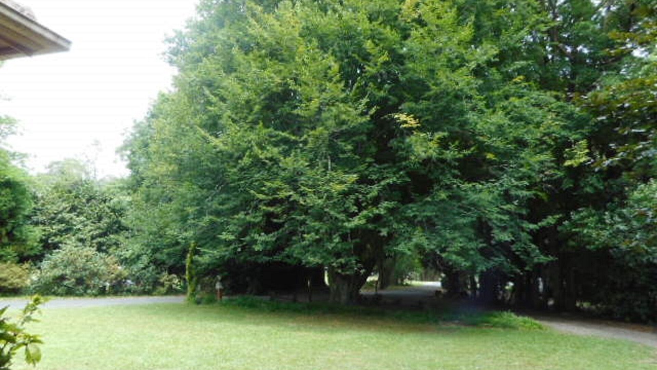 Photo of Others in Warburton