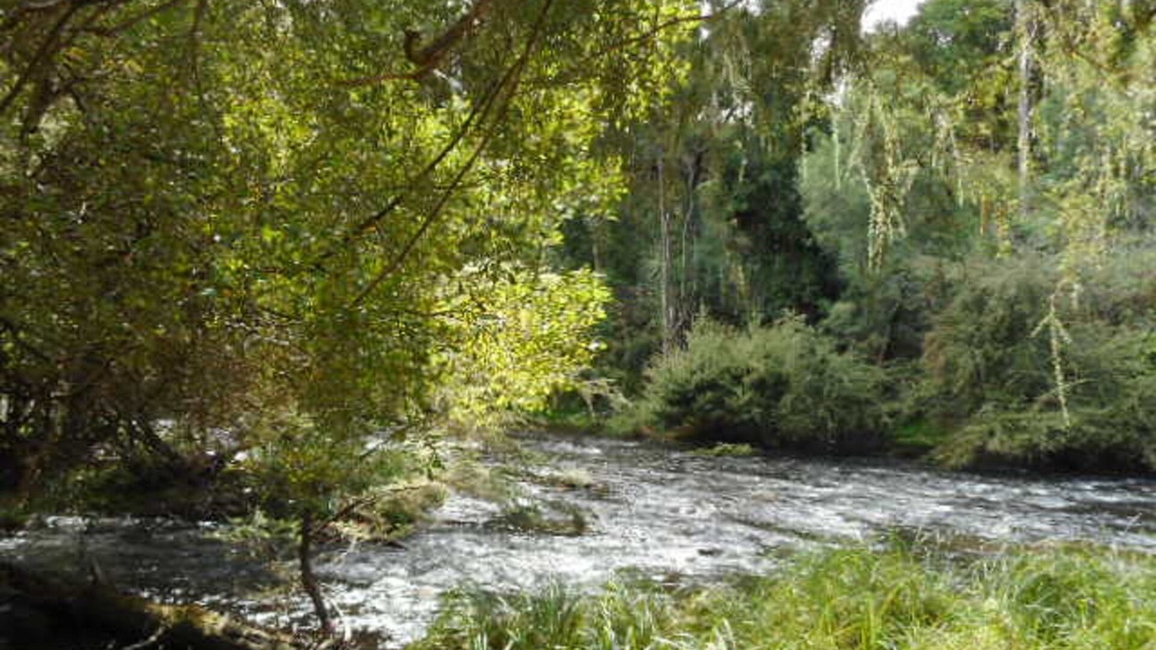 Photo of Others in Warburton