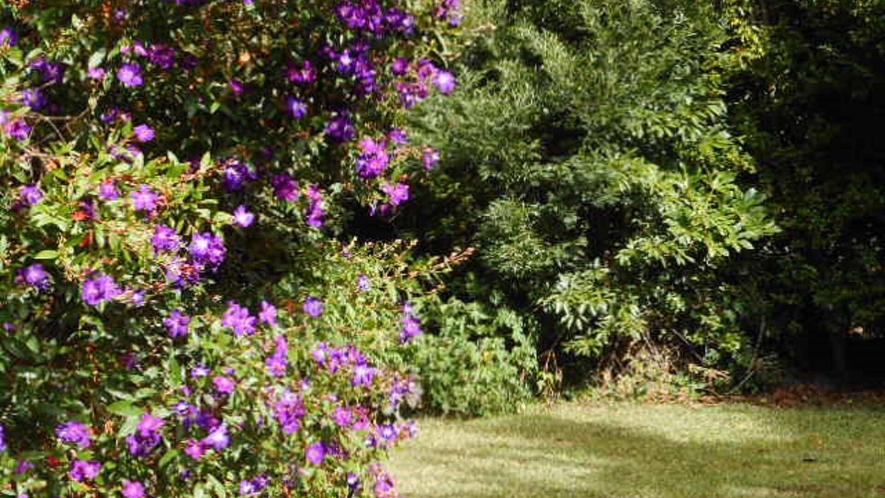 Photo of Outdoor in Warburton