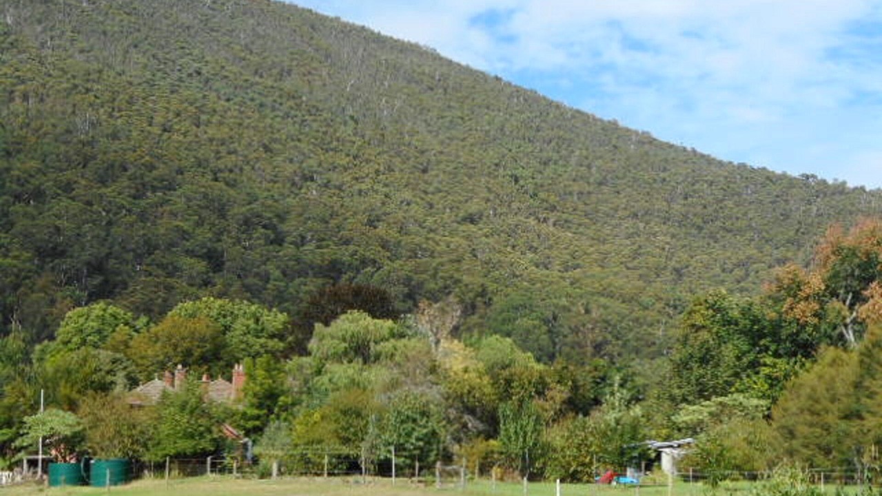 Photo of Others in Warburton