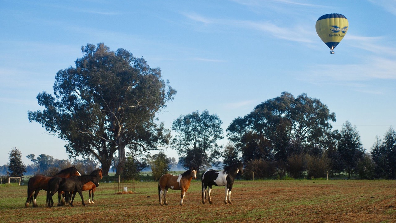 Photo of Others in Oxley