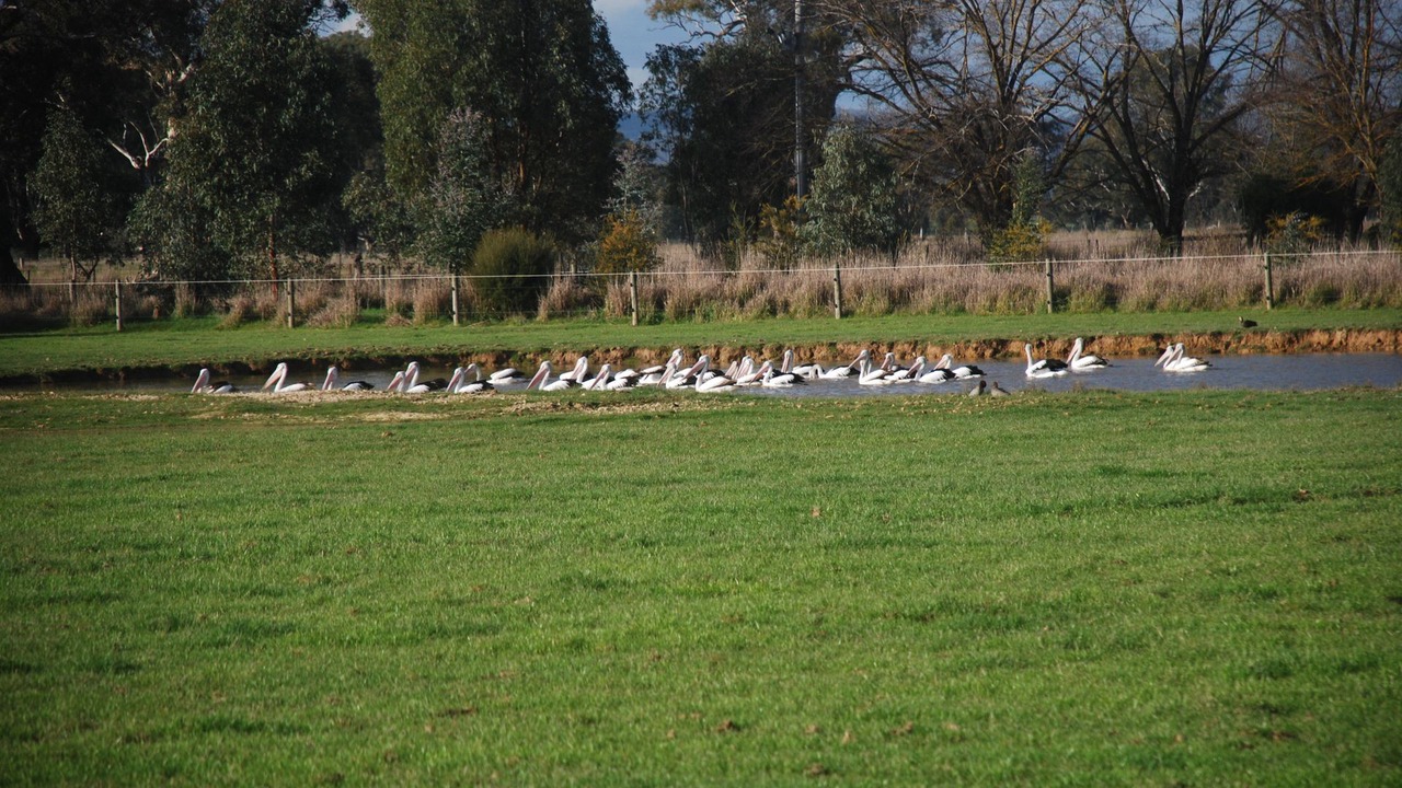 Photo of Outdoor in Oxley
