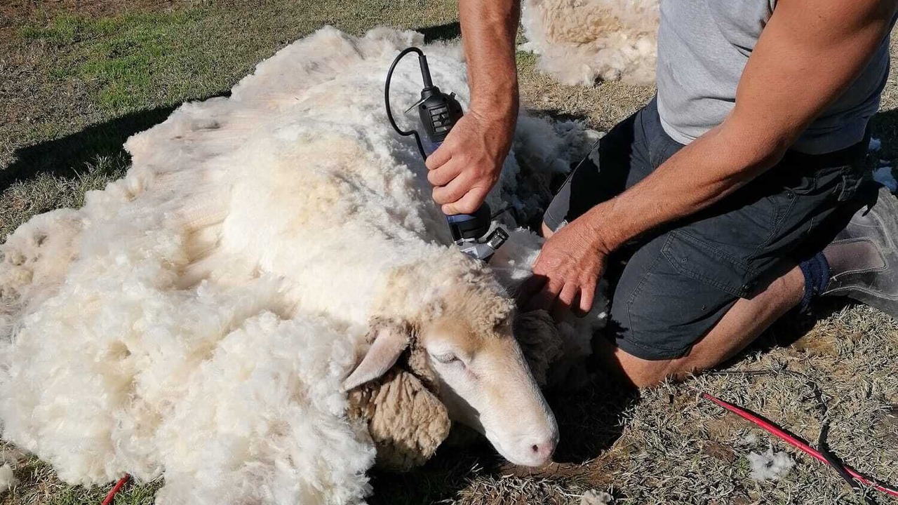 Photo of Outdoor in Oxley