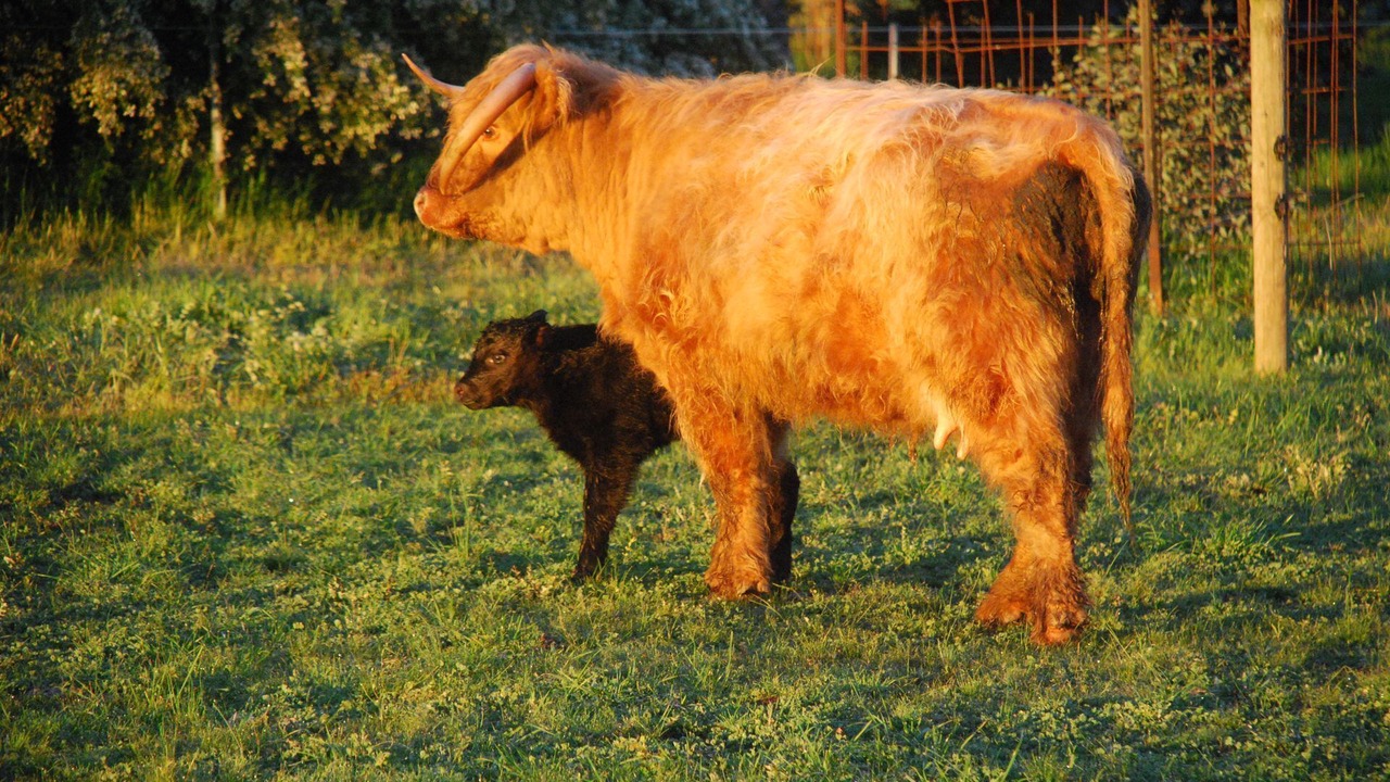 Photo of Outdoor in Oxley