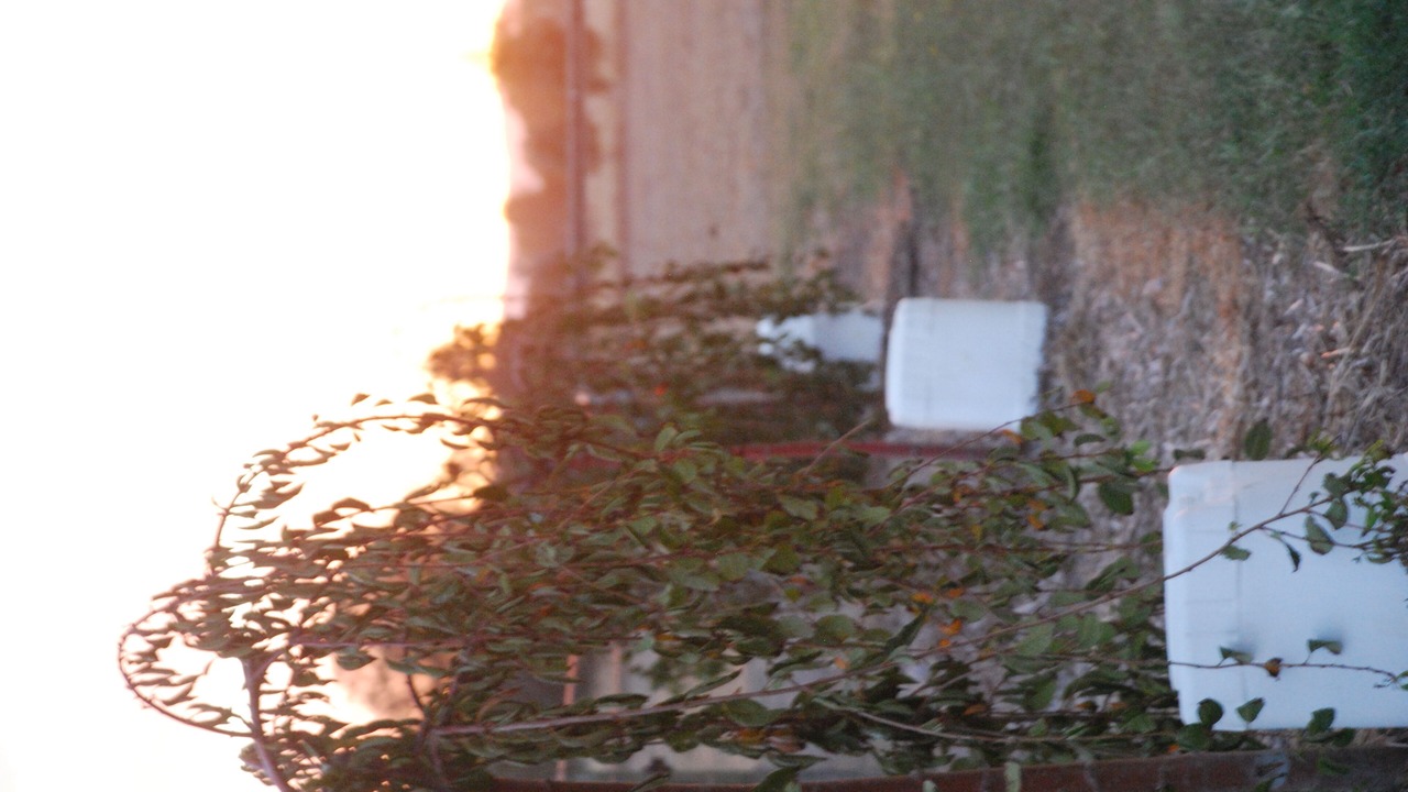 Photo of Outdoor in Oxley