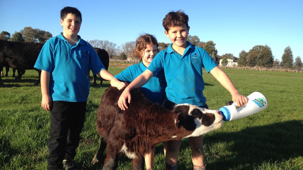 Photo of Outdoor in Oxley