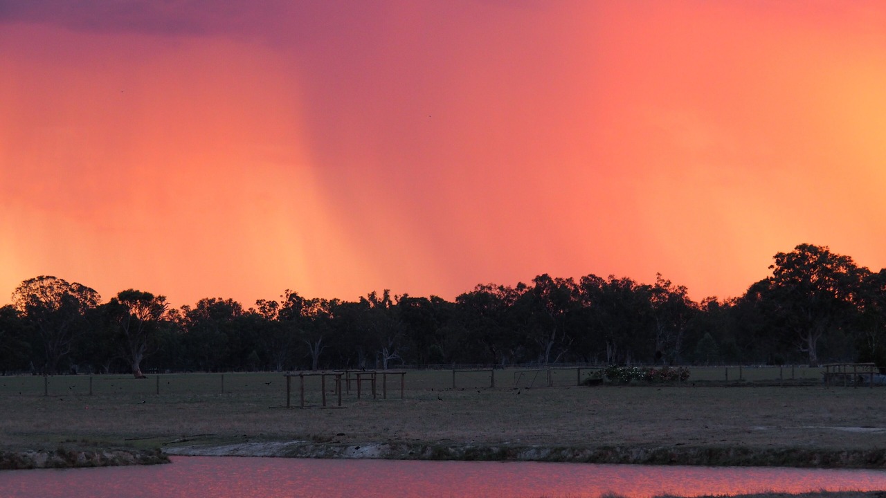 Photo of Others in Oxley