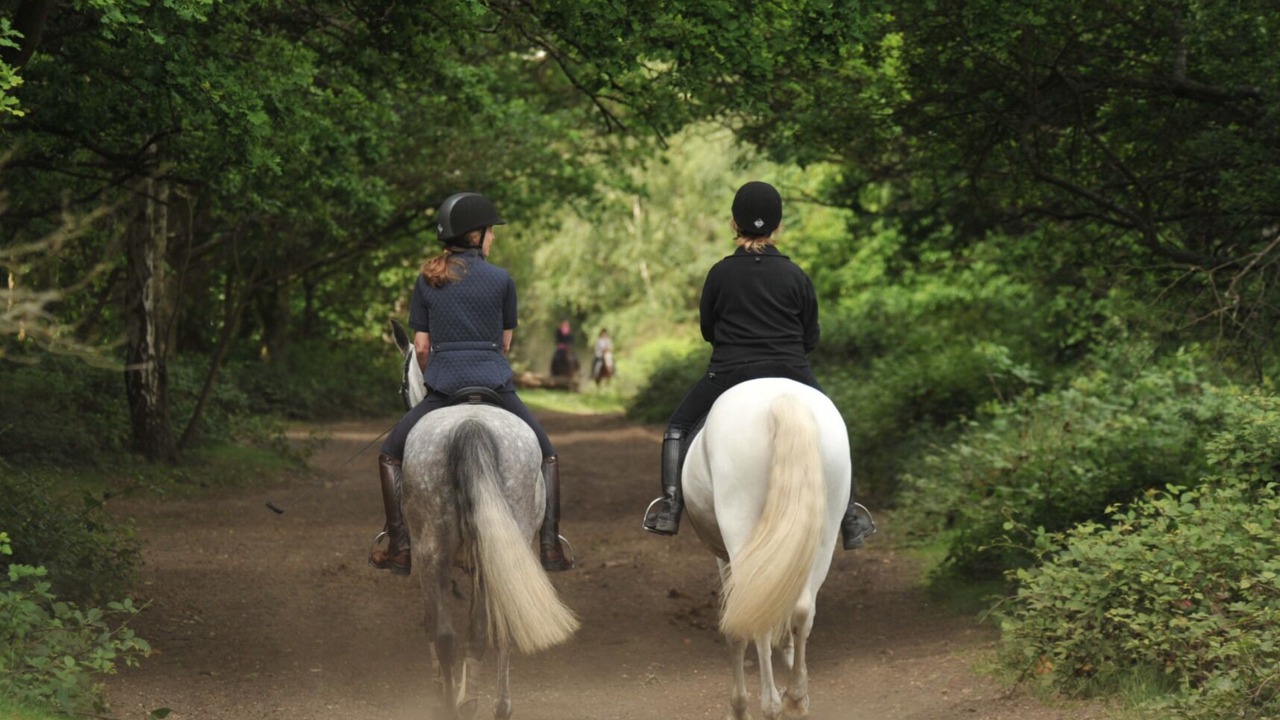 Photo of Others in Wimbledon Park