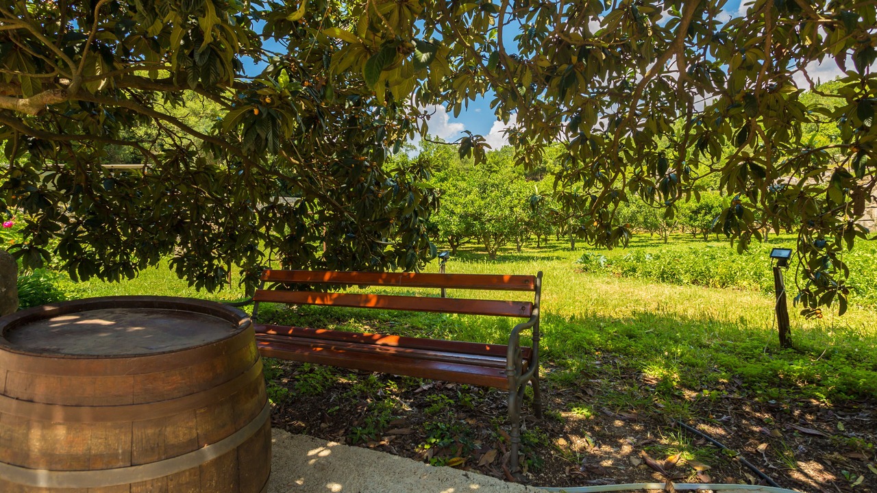 Photo of Outdoor in Popovici