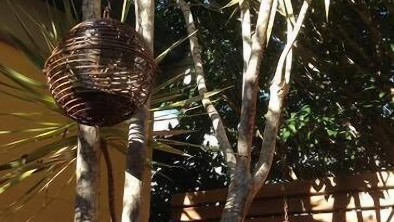 Photo of Outdoor in Boomerang Beach