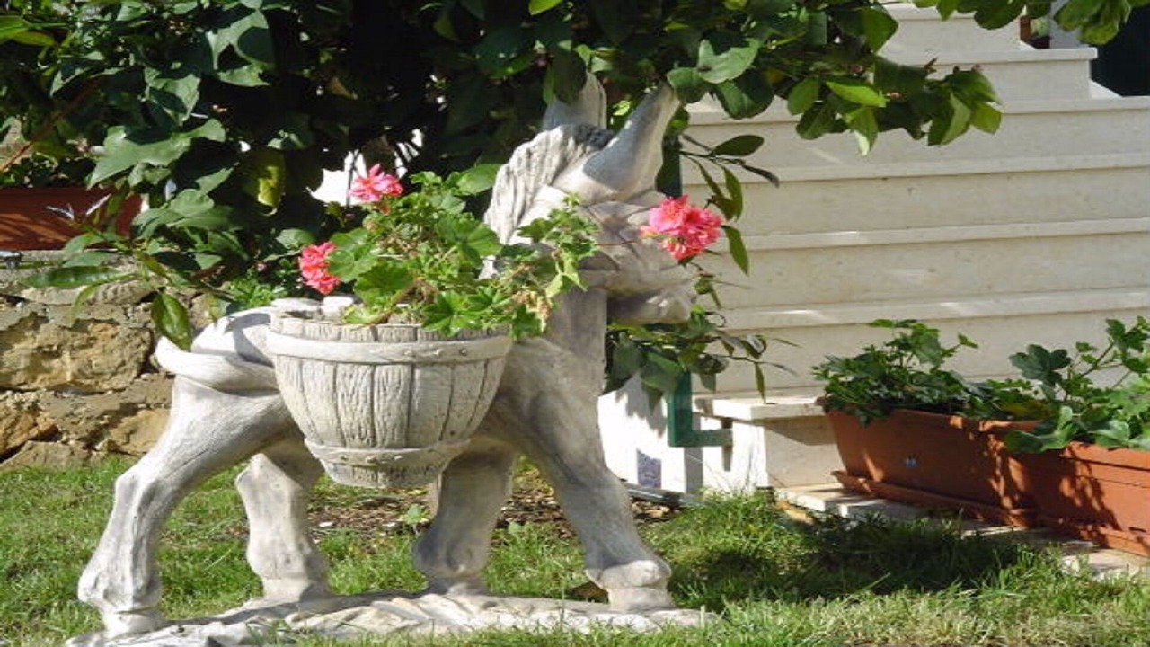 Photo of Outdoor in Seget Vranjica