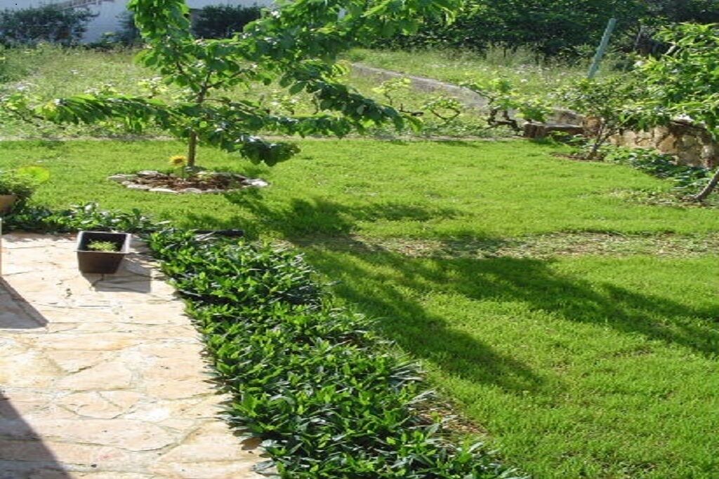 Photo of Outdoor in Seget Vranjica