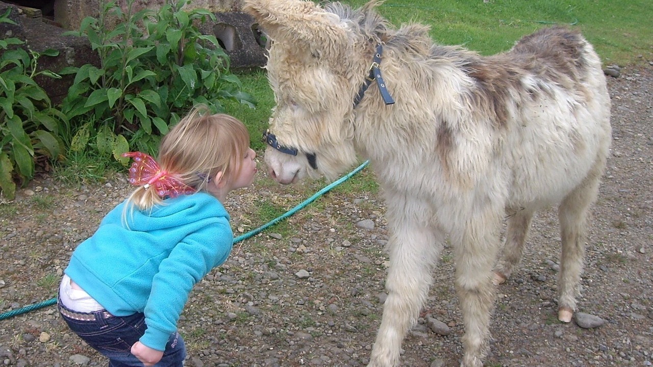 Photo of Outdoor in Coromandel Forest Park