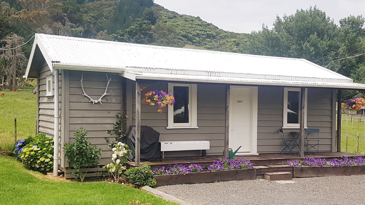 Photo of Outdoor in Coromandel Forest Park
