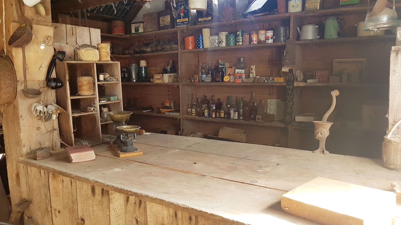 Photo of Others in Coromandel Forest Park