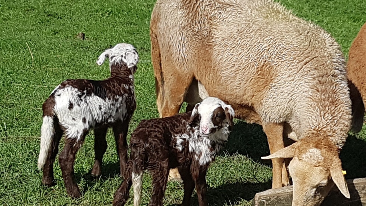 Photo of Outdoor in Coromandel Forest Park