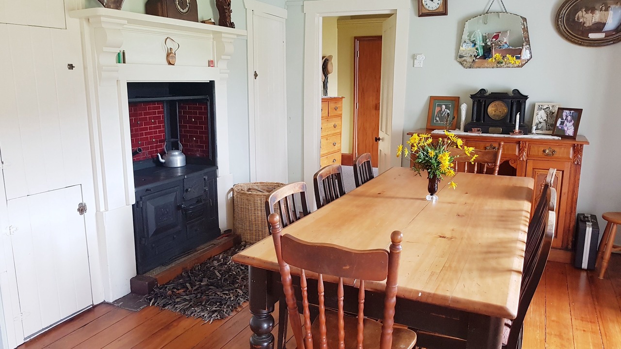 Photo of Others in Coromandel Forest Park