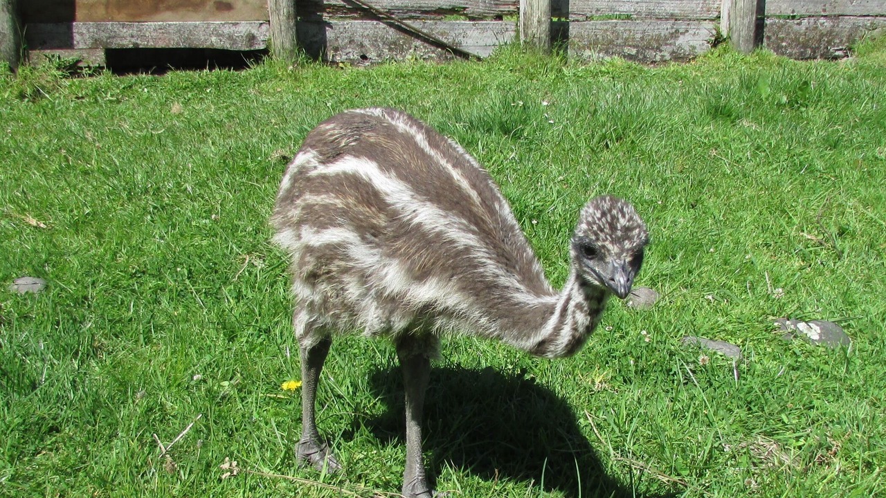 Photo of Outdoor in Coromandel Forest Park