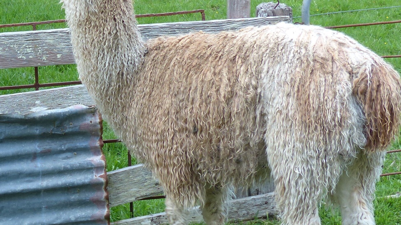 Photo of Outdoor in Coromandel Forest Park