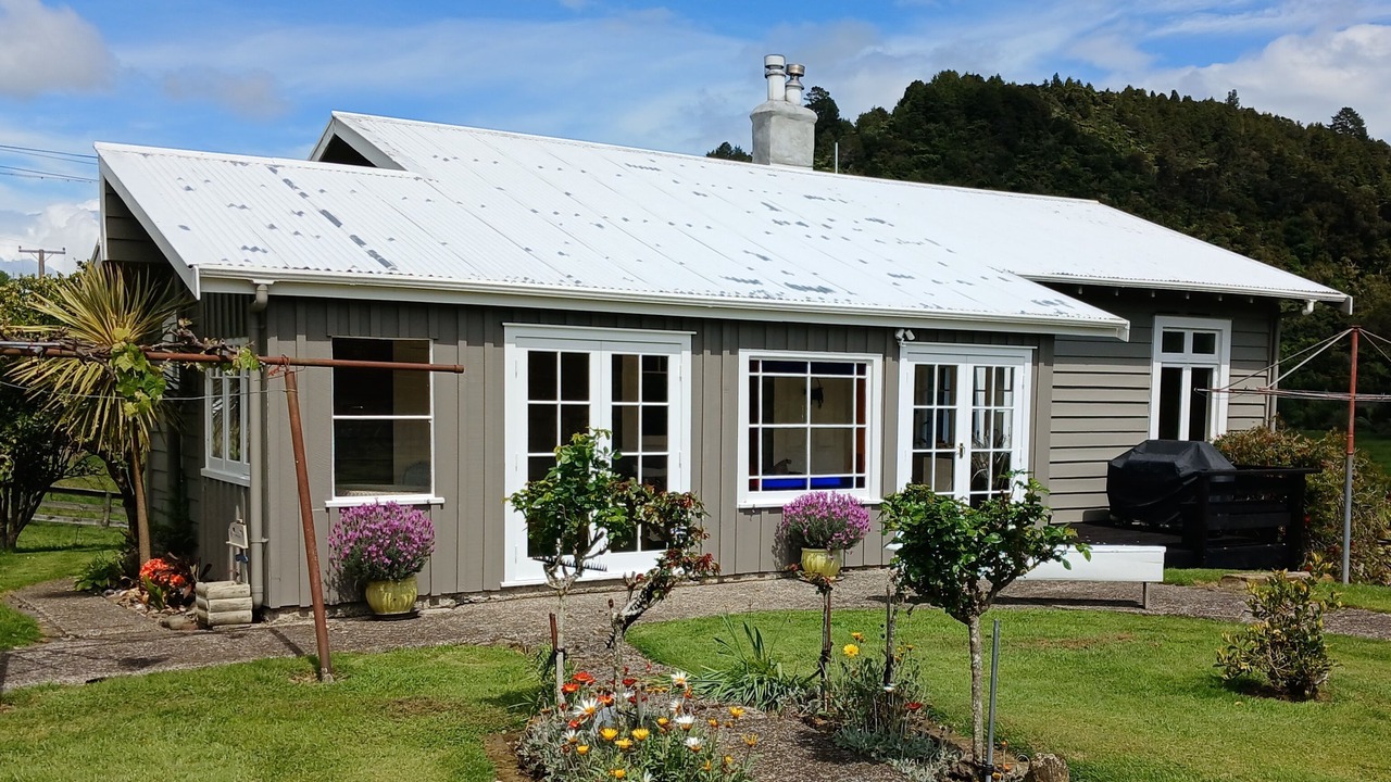 Photo of Outdoor in Coromandel Forest Park