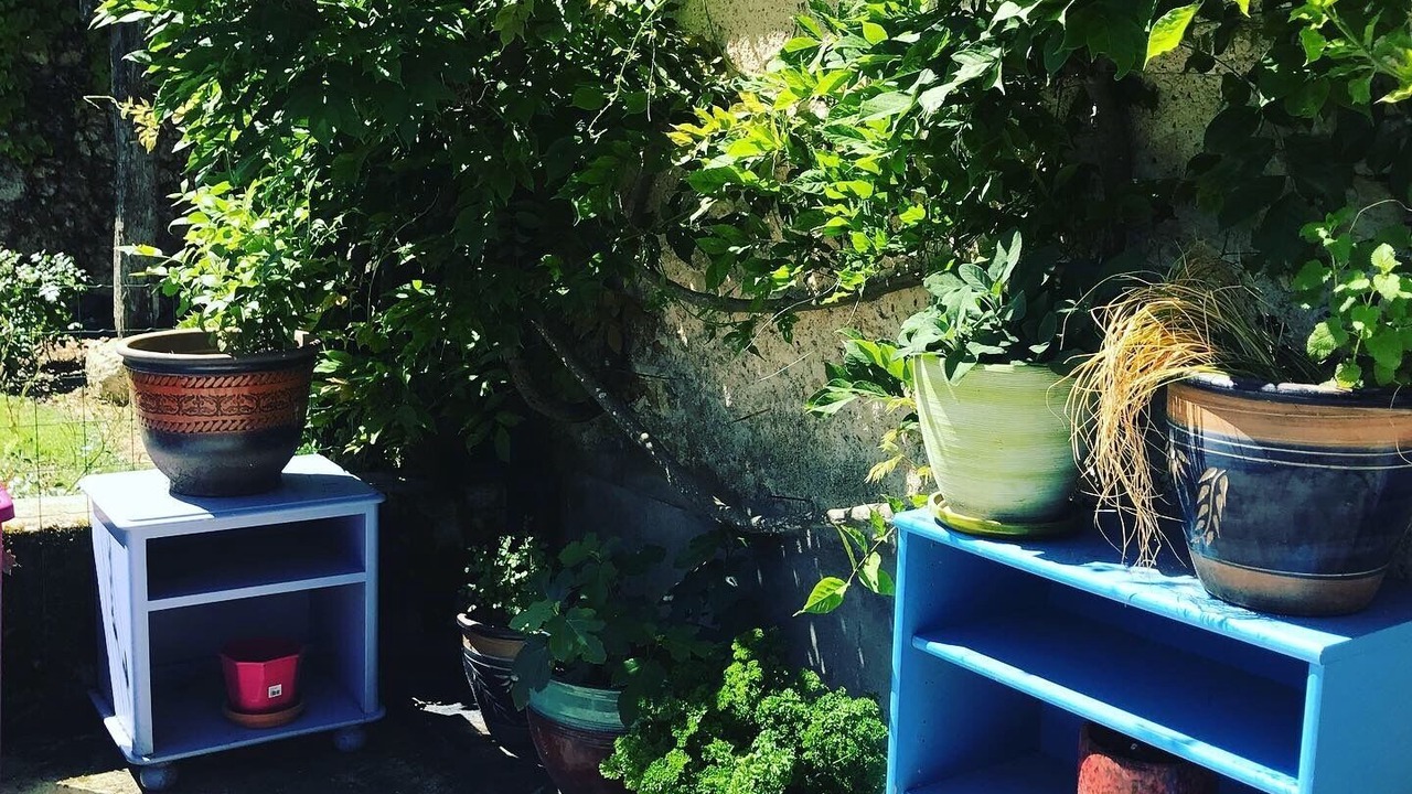 Photo of Outdoor in Dolmayrac