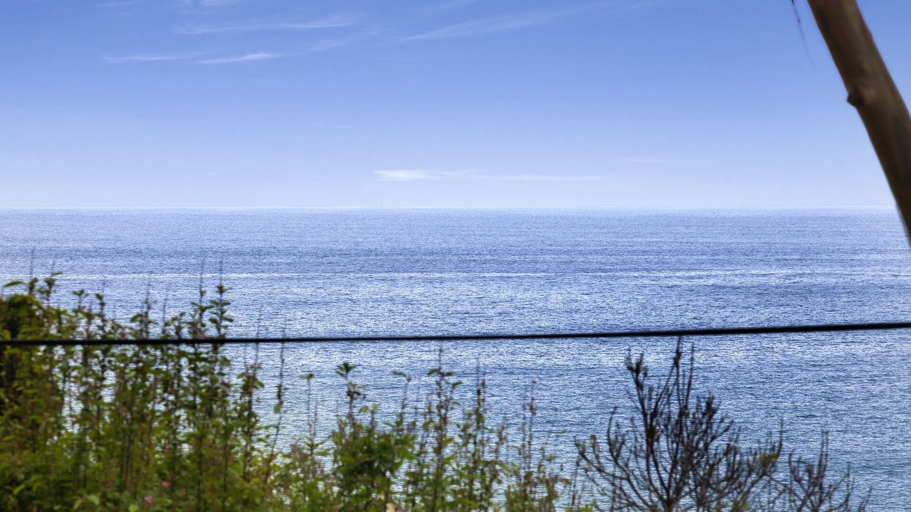 Photo of Others in Lorne