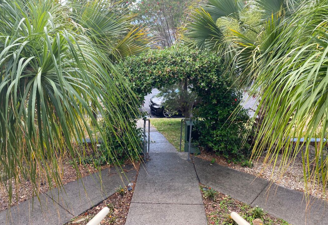 Photo of Others in Crescent Head