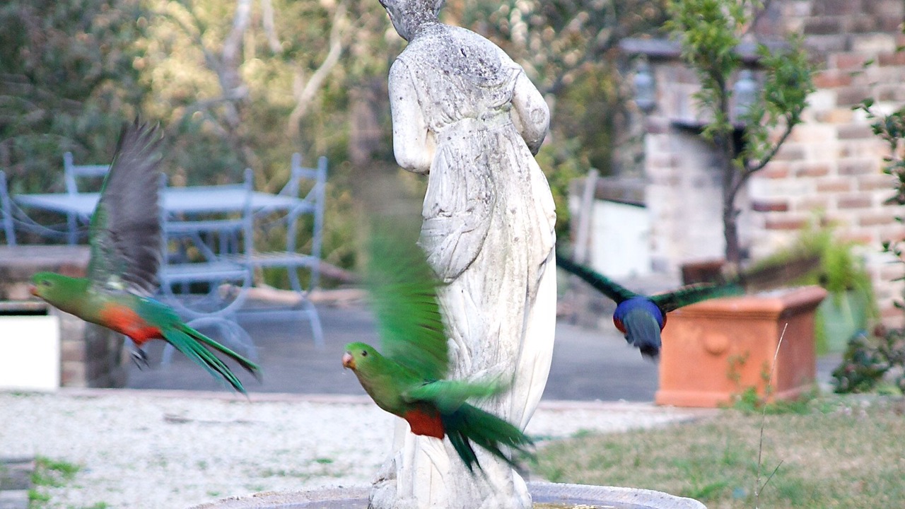 Photo of Others in Kurrajong