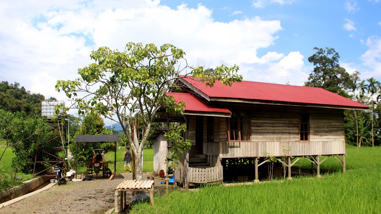 Photo of Outdoor in Harau