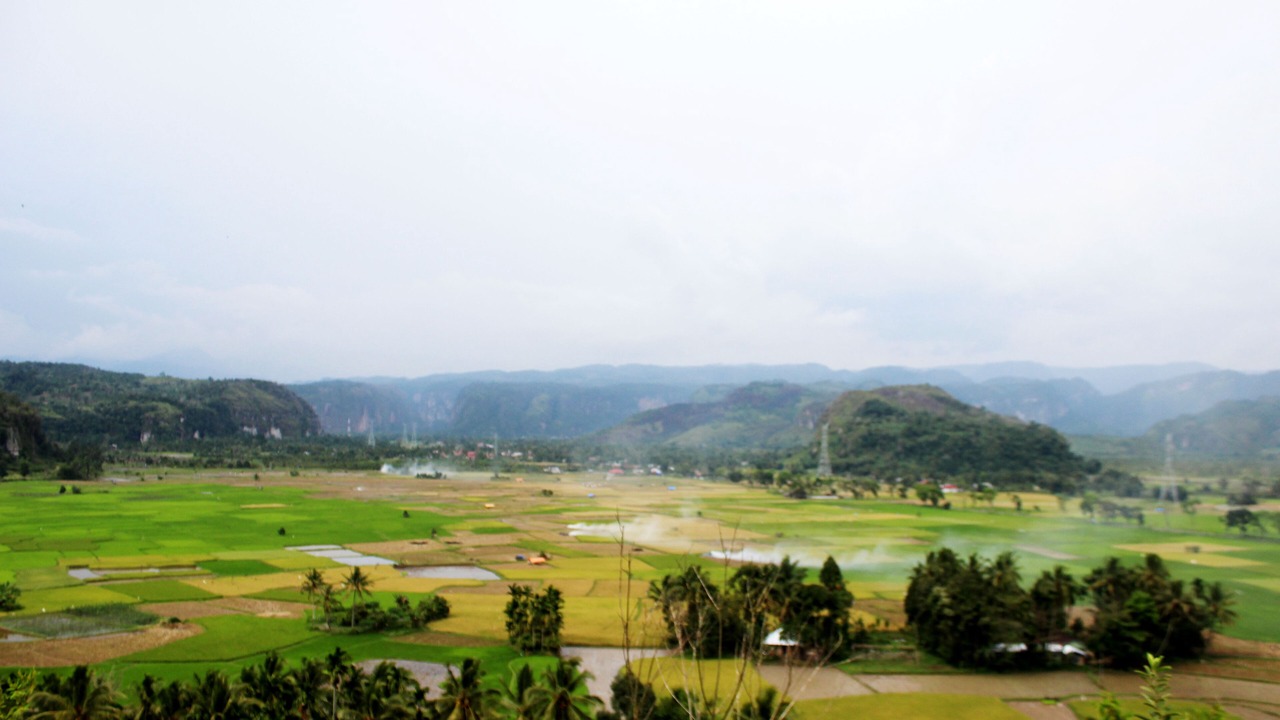 Photo of Others in Harau