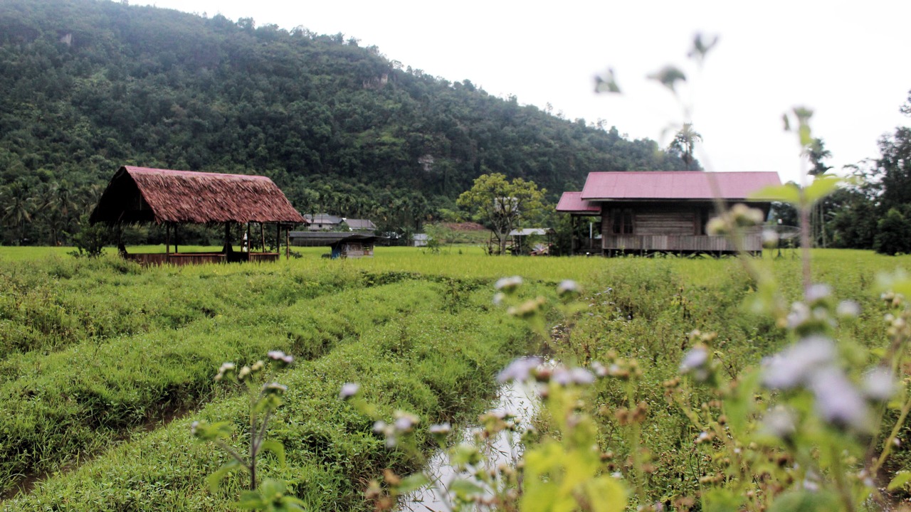 Photo of Outdoor in Harau