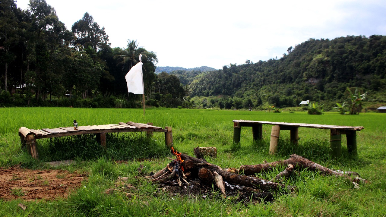 Photo of Outdoor in Harau