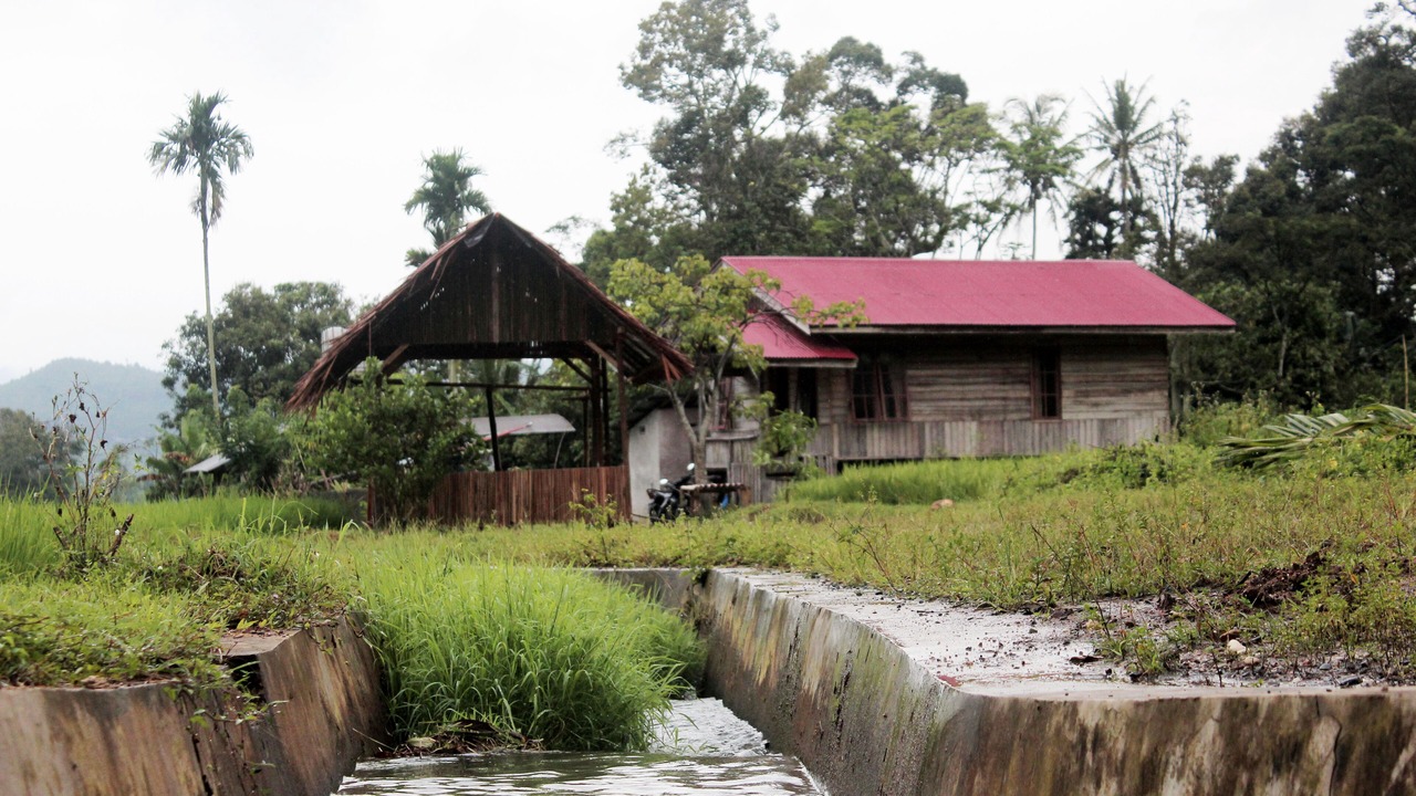 Photo of Outdoor in Harau