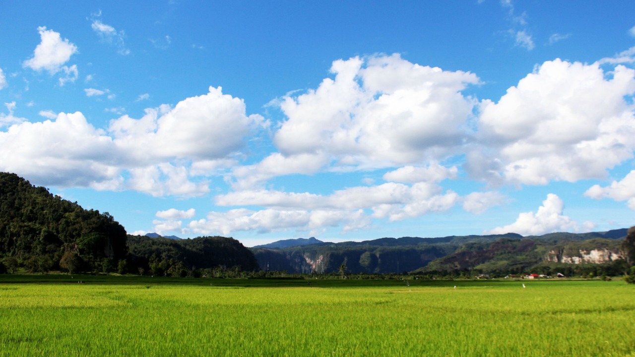 Photo of Others in Harau