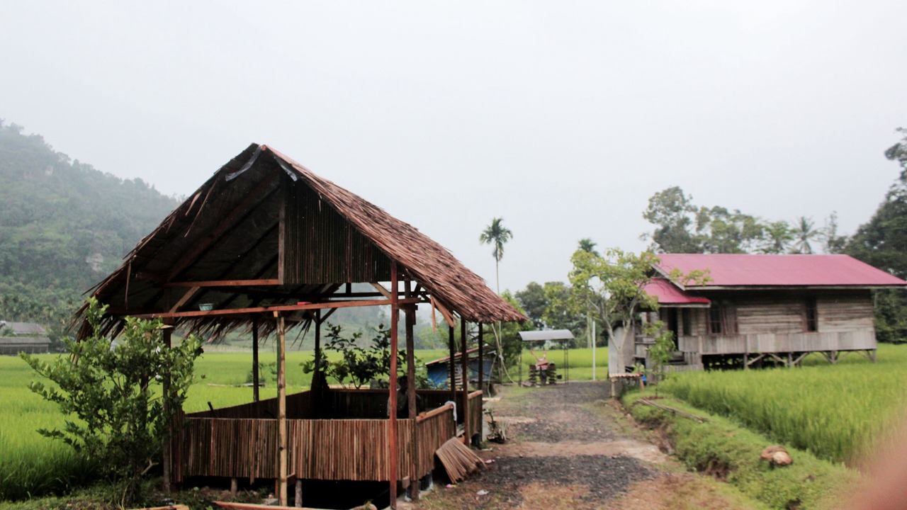 Photo of Outdoor in Harau