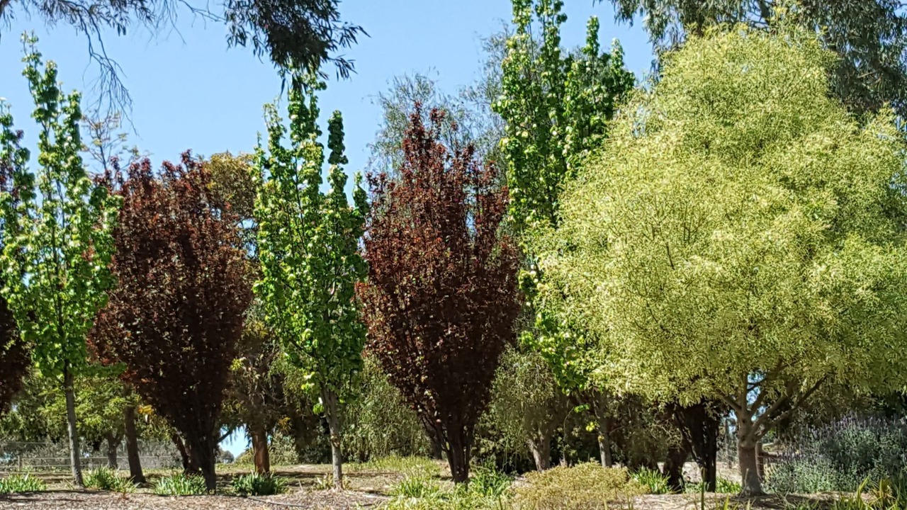 Photo of Outdoor in Uleybury