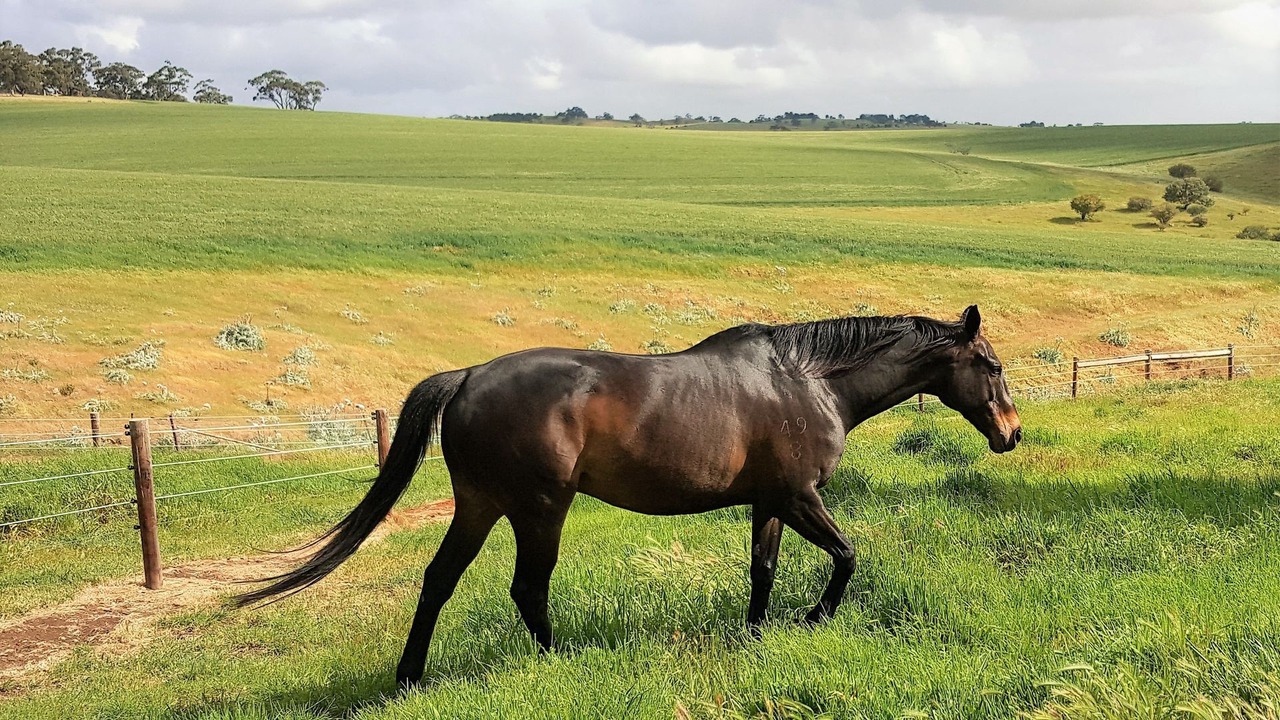 Photo of Outdoor in Uleybury