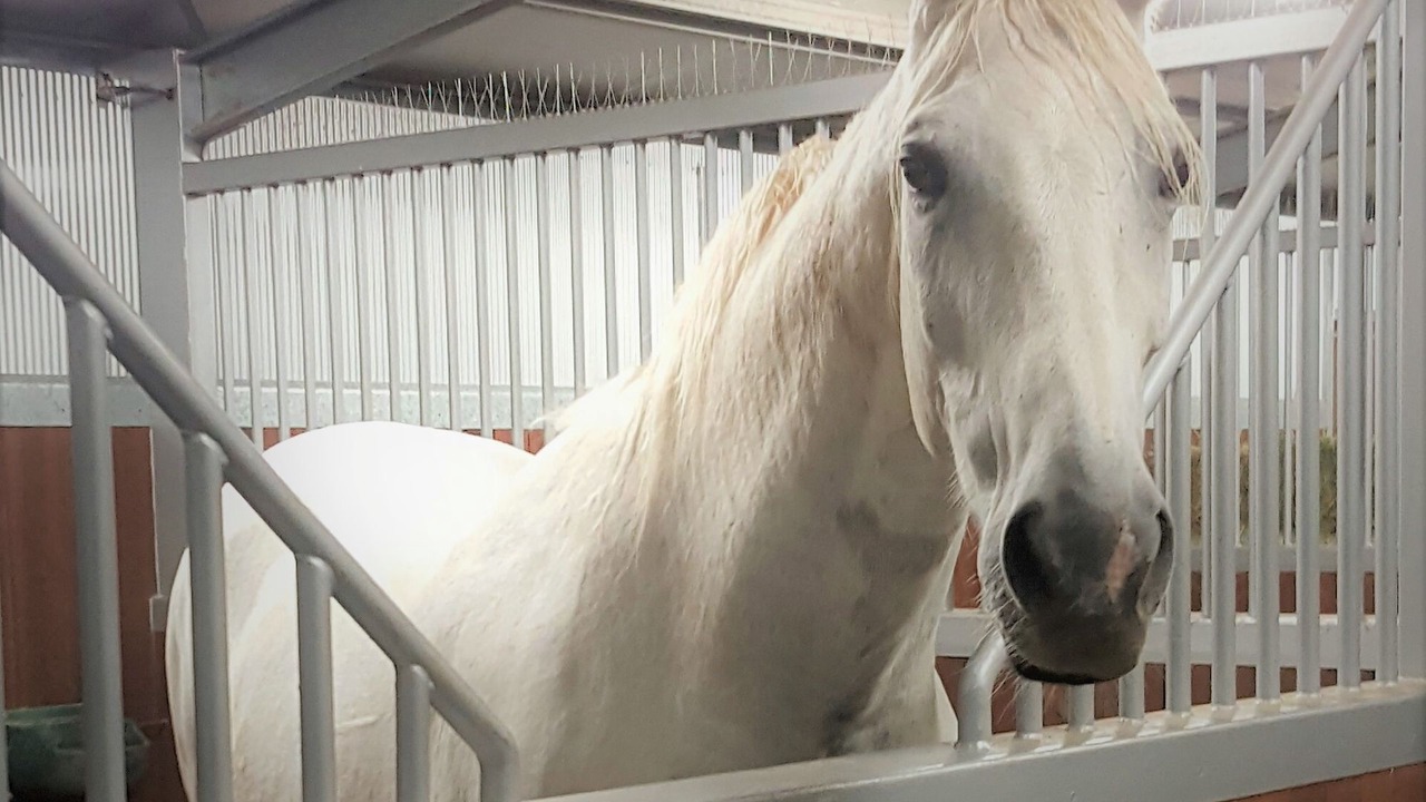 Photo of Others in Uleybury